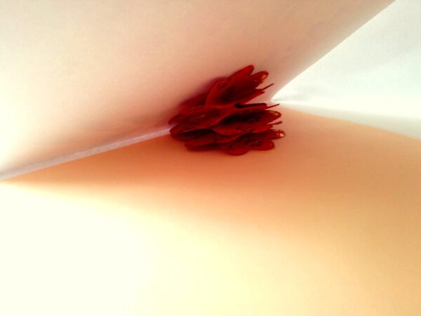 Quilled Red Flowers On Glossy Print image Quilled Red Flowers On Glossy Print image