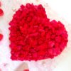 Dried Rose Petals In Heart Quilled Greeting Card image Dried Rose Petals In Heart Quilled Greeting Card image
