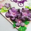 Purple Corner Flowers with Paper Lace Greeting Card image