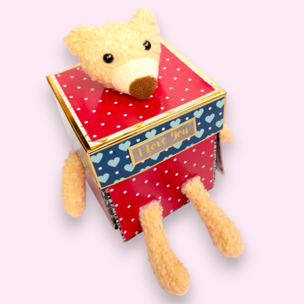 CHRISTMAS-CARD1-Photoroom-6-1 3 Layered Cute Teddy Love Explosion Box