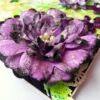 Sparkling Purple Handmade Flowers Greeting Card image Sparkling Purple Handmade Flowers Greeting Card image