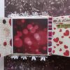 Love and Valentine Themed Mini Scrapbook image Love and Valentine Themed Mini Scrapbook image